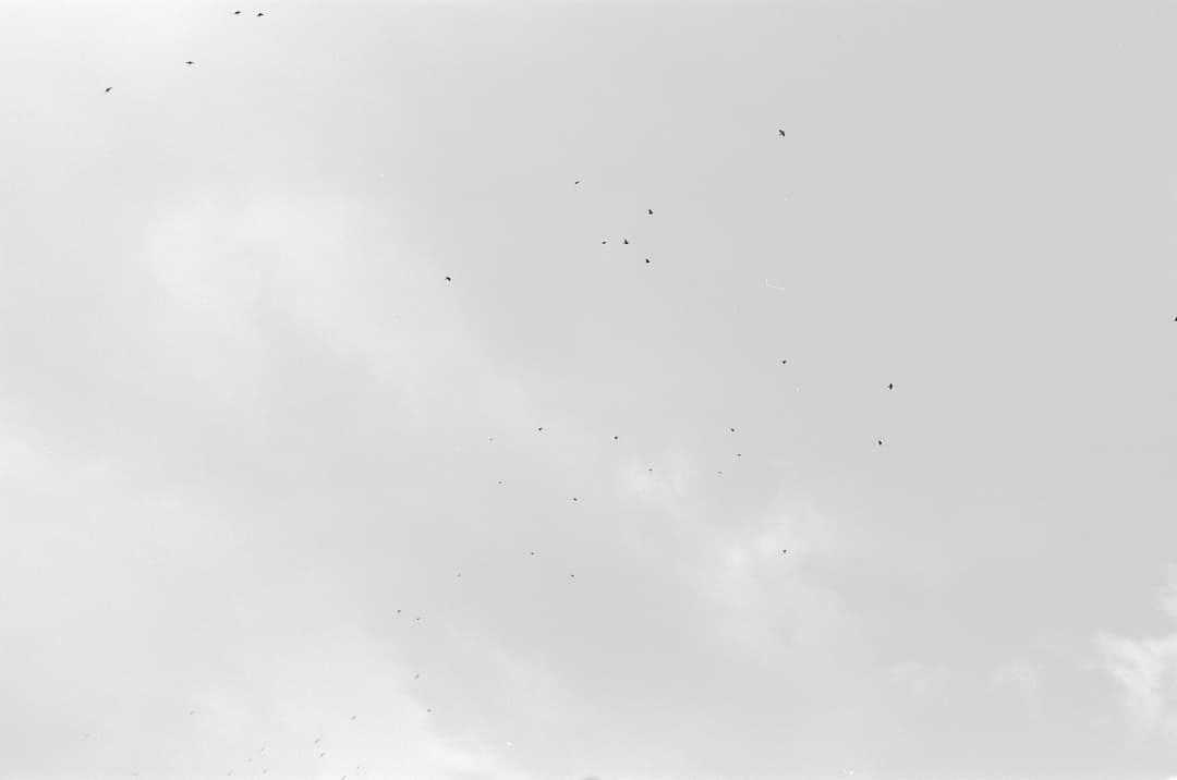 000062890011.jpg