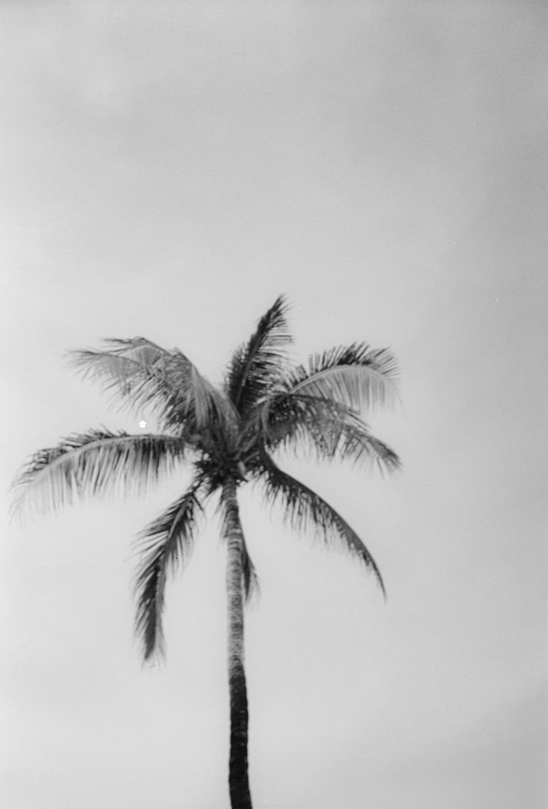 08990014.jpg