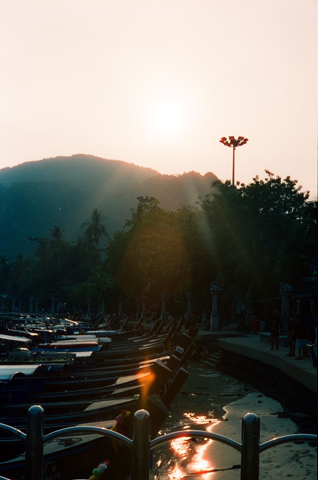 08990016.jpg
