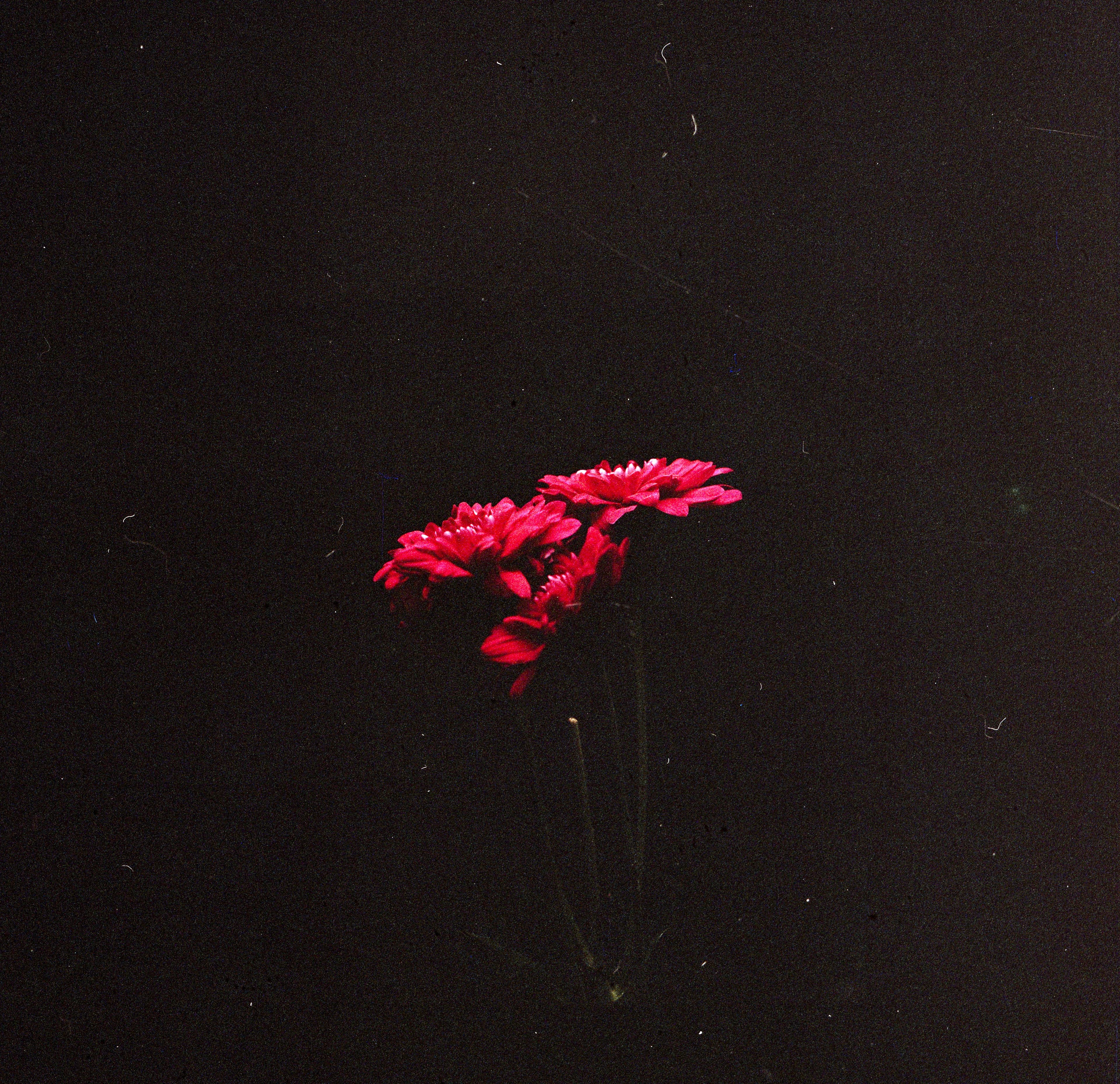 img006.jpg